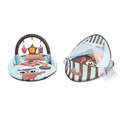 2-in-1 Baby Play Mat & nest| سجادة لعب وخيمة للأطفال 2 في 1